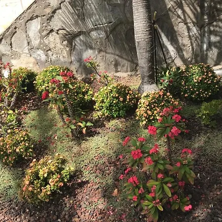 Isla Margarita 펜션 푸에르토리코